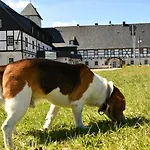 Altes Zollhaus ホテル ヘルムスドルフ