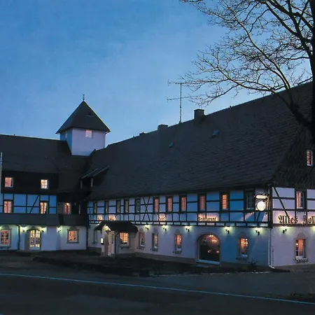 Altes Zollhaus ホテル