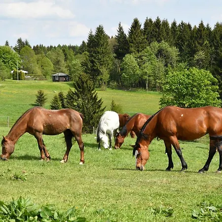 Altes Zollhaus Ξενοδοχείο Hermsdorf (Saxony)