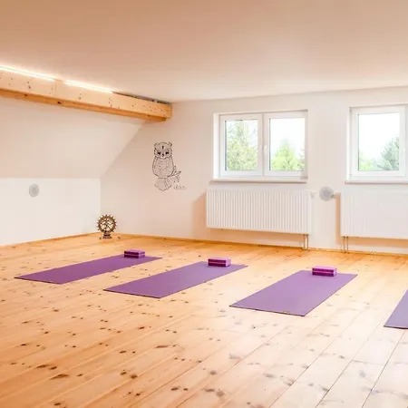 Altes Zollhaus 4* ヘルムスドルフ