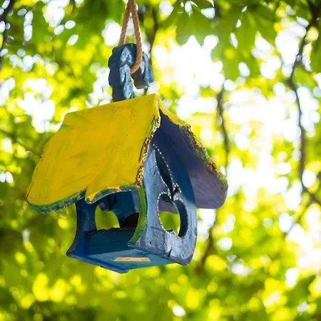 酒店 佐尔豪斯兰德酒店