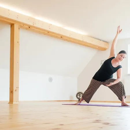 Altes Zollhaus Hotel 4*