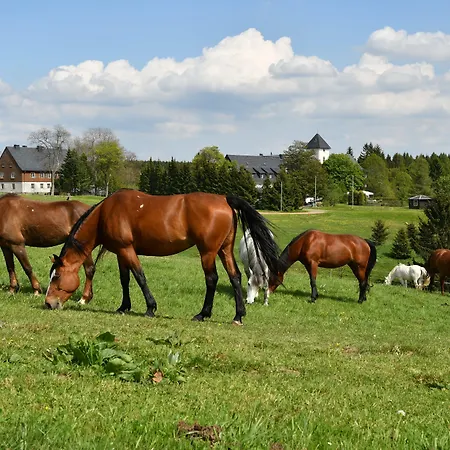 ホテル Altes Zollhaus ヘルムスドルフ