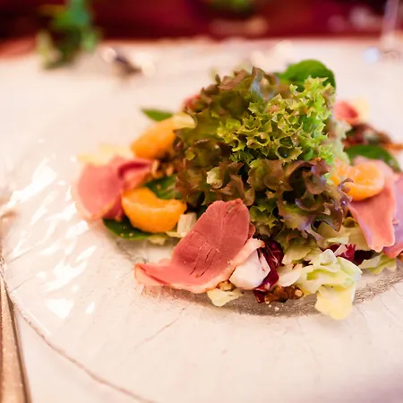 佐尔豪斯兰德酒店 酒店 4*