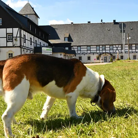 Altes Zollhaus ホテル ヘルムスドルフ