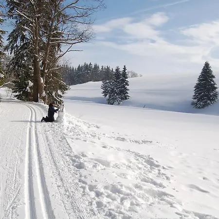 佐尔豪斯兰德酒店 4* Hermsdorf (Saxony)