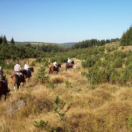 ホテル Altes Zollhaus 4*