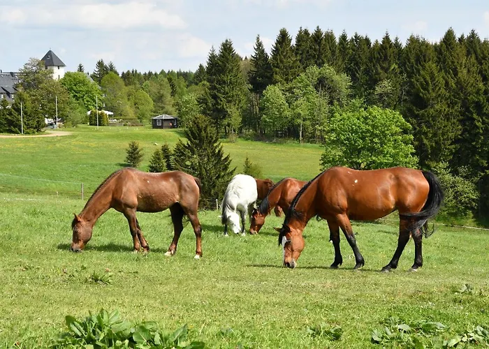 Altes Zollhaus Отель Хермсдорф