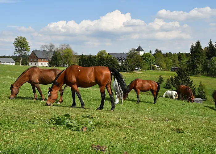 Szálloda Altes Zollhaus Hermsdorf