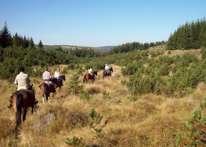 Отель Altes Zollhaus 4*